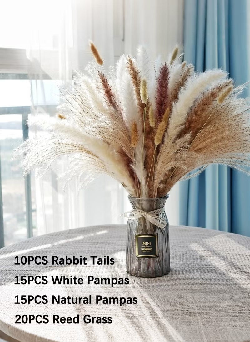 أخبار 60 قطعة من باقة عشب البامباس المجفف الطبيعي، تنسيقات زهور البامباس البني والأبيض، ديكورات للمنزل والمكتب والحفلات - Image 1